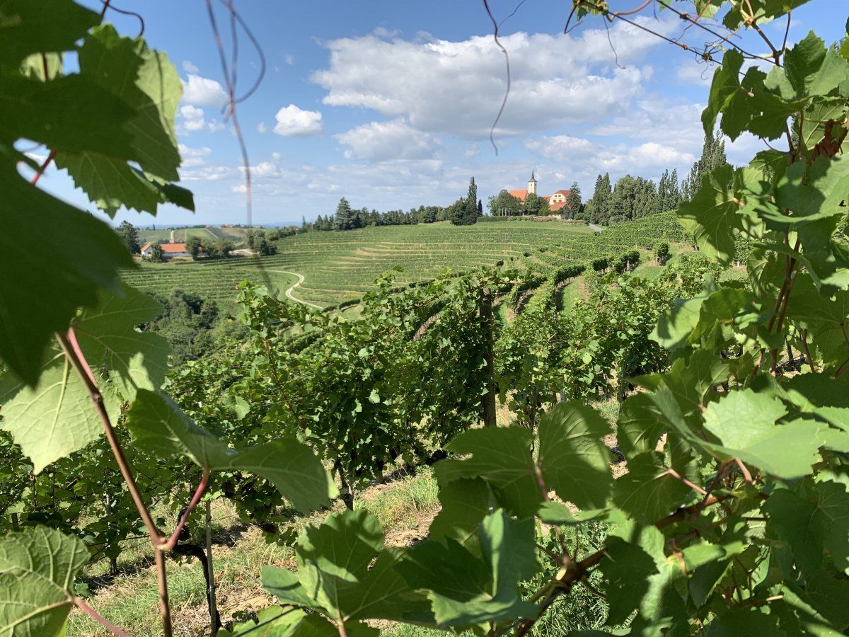 Iconic view of the Jeruzalem mini wine region..