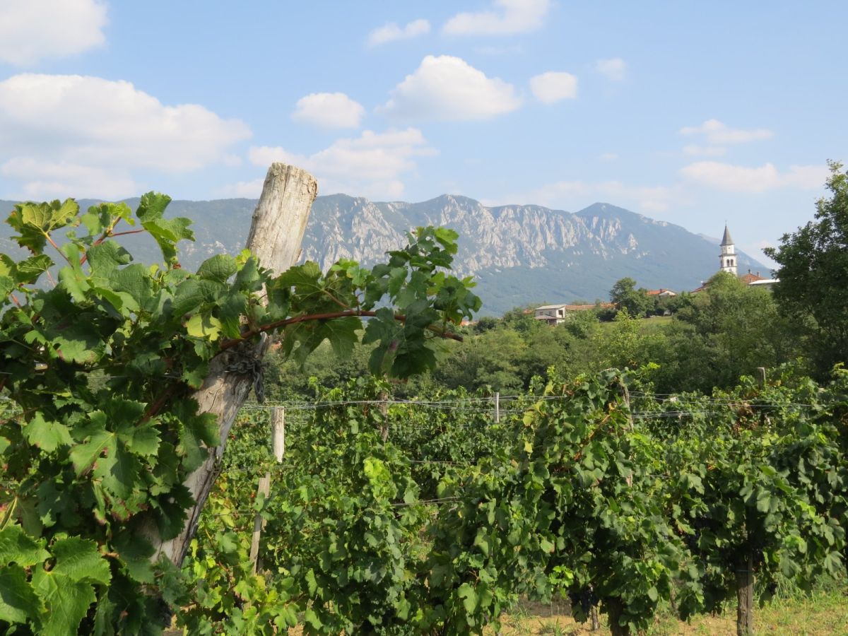 how lucky are we.. Lipizzaner Lodge is just over the other side of that mountain!!
