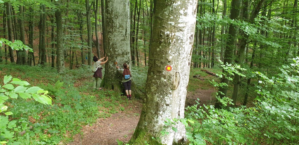 there are so many reasons to call this place Green Slovenia! there are so many reasons to call this place Green Slovenia!