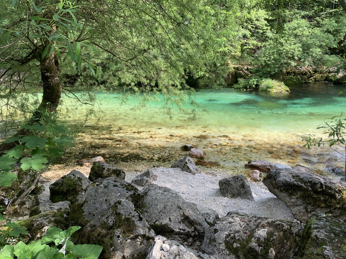 Do you see why we call this treasure island Green Slovenia? You will see more shades of Green here than in a printing shop! Do you see why we call this treasure island Green Slovenia? You will see more shades of Green here than in a printing shop!