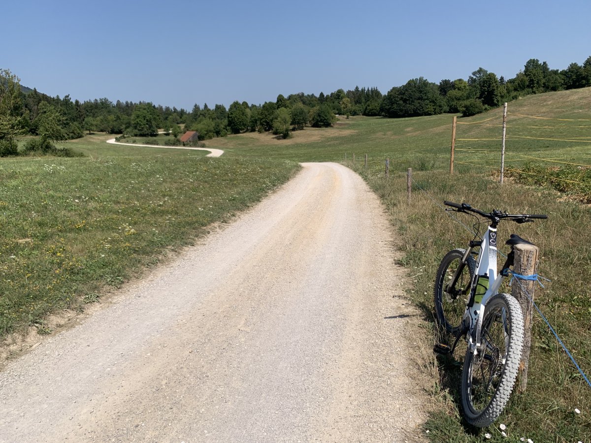 Go Green Slovenia!