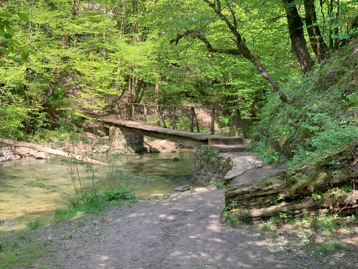 the wooden bridge from the other side of the walk, near the hotel going downriver..