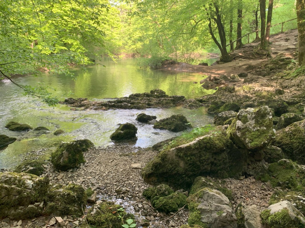 One of the springs gurgling away in spring.. a spring spring..