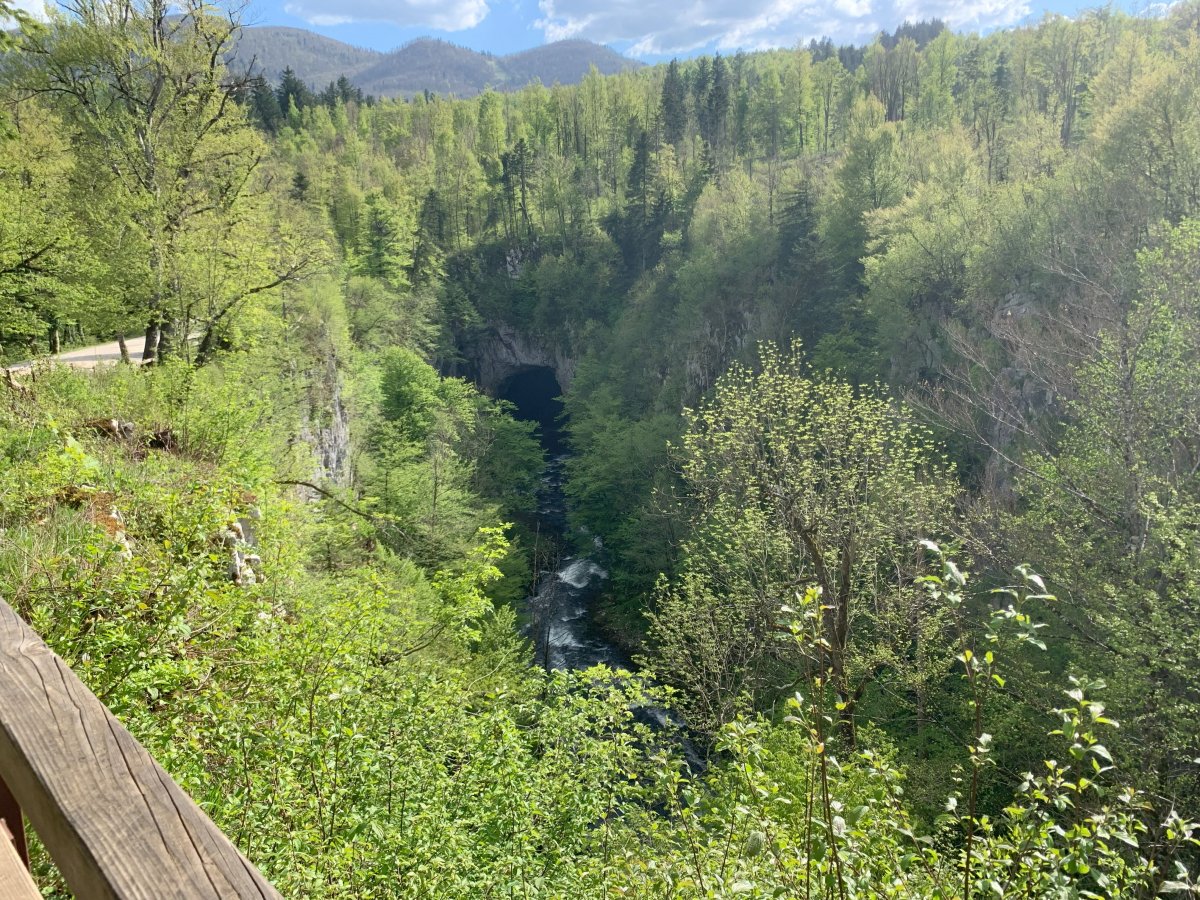 view from the back of the Big Bridge to see where the river leaves the old cave and goes back underground..