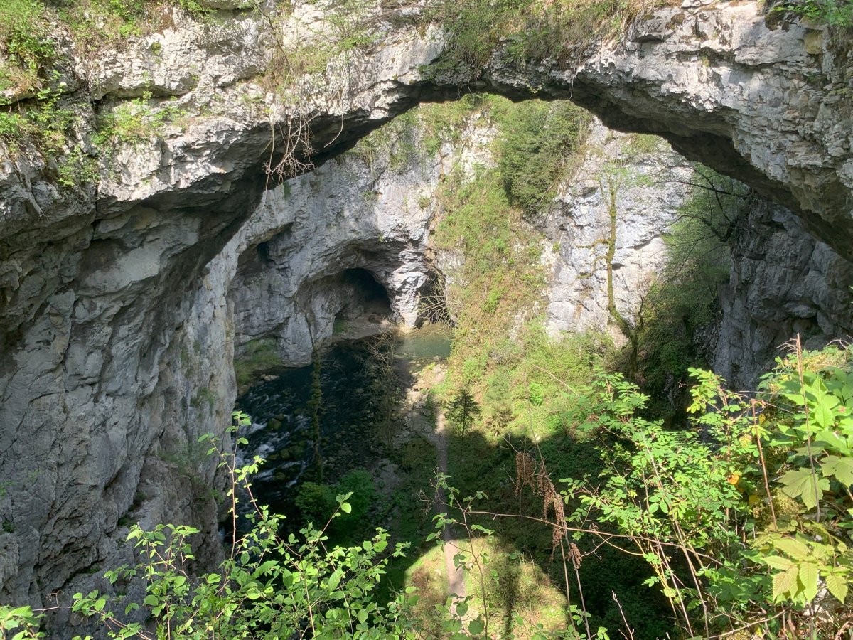 Rakov Skocjan.. Green Karst Jungle