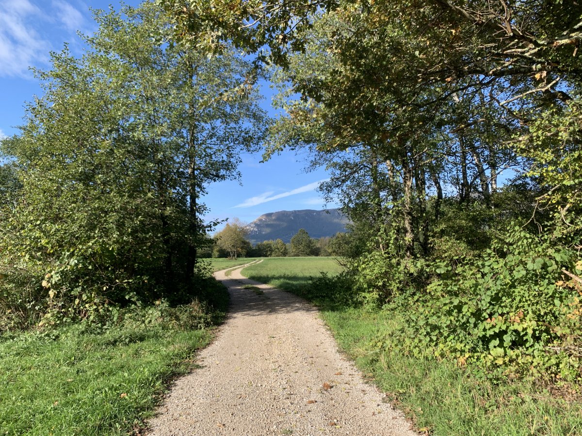 Lovely walk down to a river from the Lodge.. Lovely walk down to a river from the Lodge..