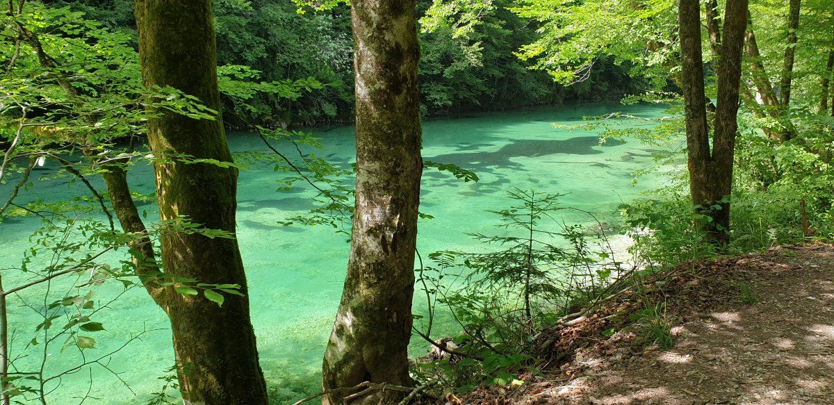 ladies and gentlemen, boys and girls.. the Bela Idrija river..
