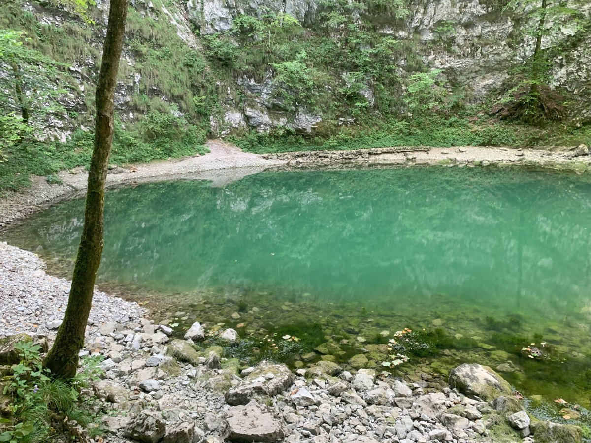 Do NOT miss seeing Wild Lake, it is like a piece of Slovenian Green Theatre..