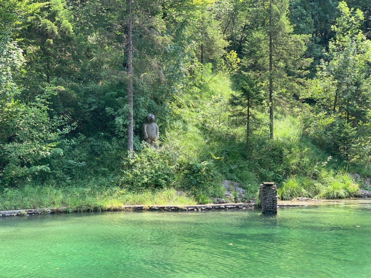 One kinda Bear watching in Green Slovenia.. You can jump off that board opposite..