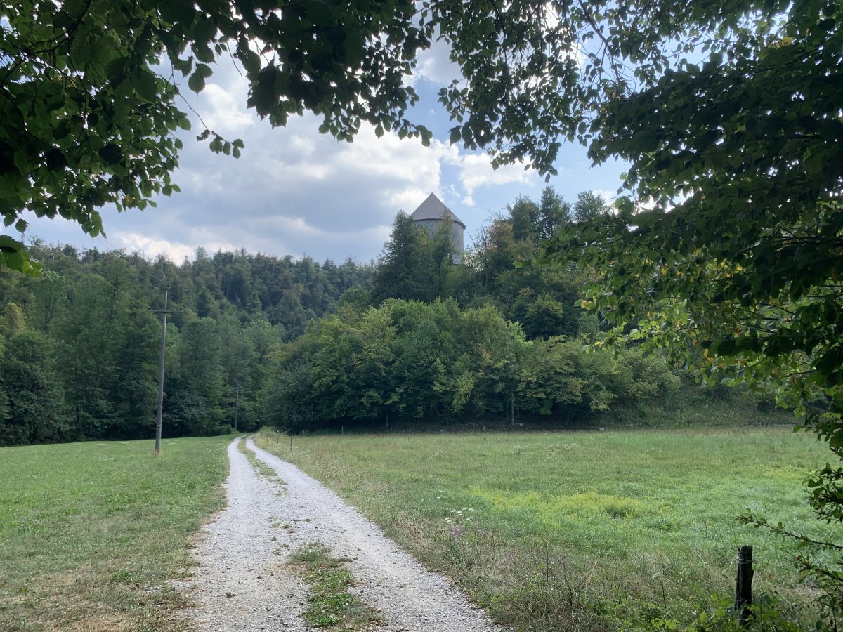 secret approach to Rapunzel's tower..