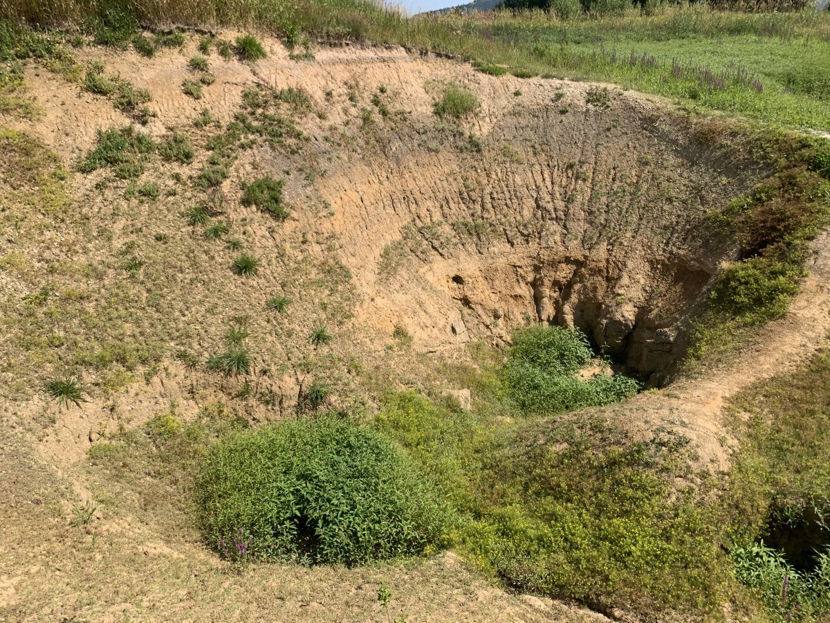 fantastic with water, fantastic without.. this is one of the massive Karst sinkholes feeding lake Cerknica..
