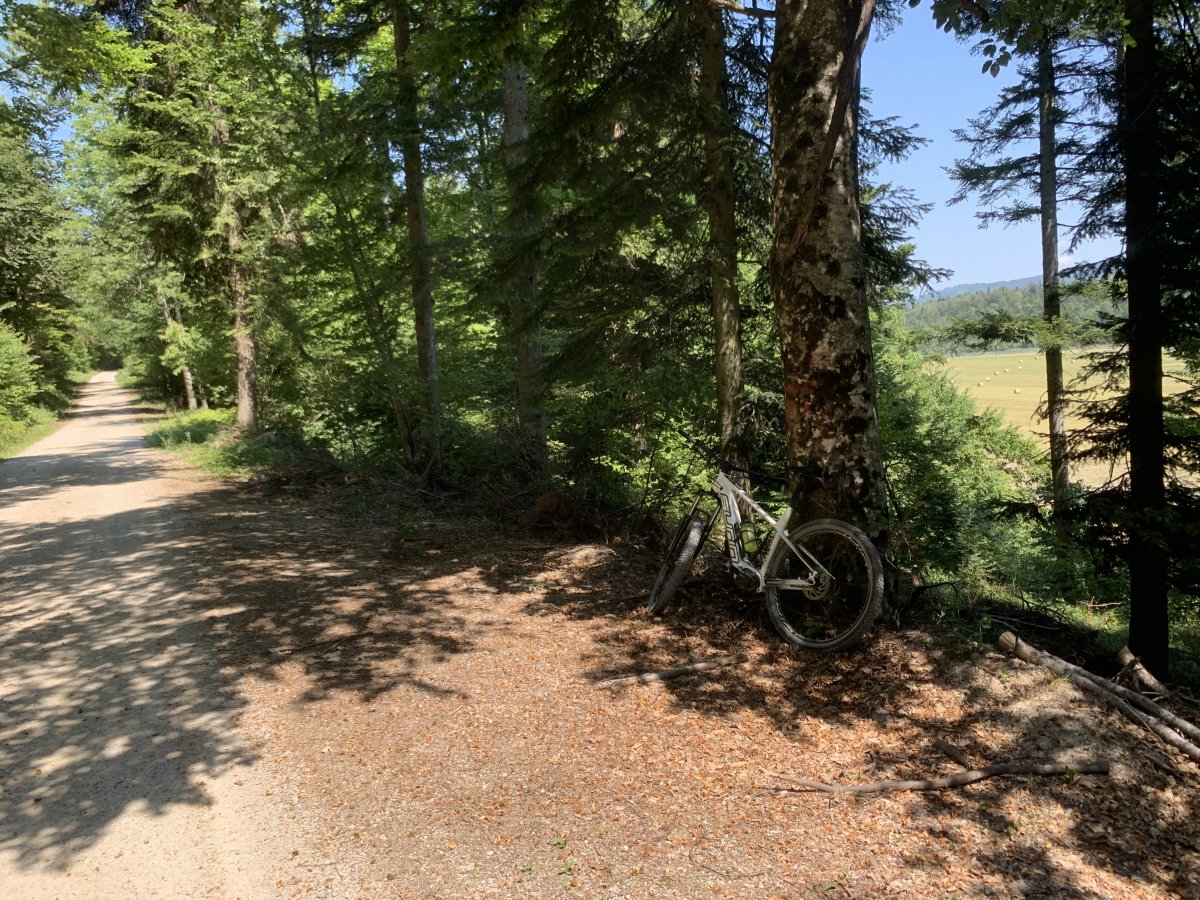 stunning tracks to bike alongside the lake shoreline..
