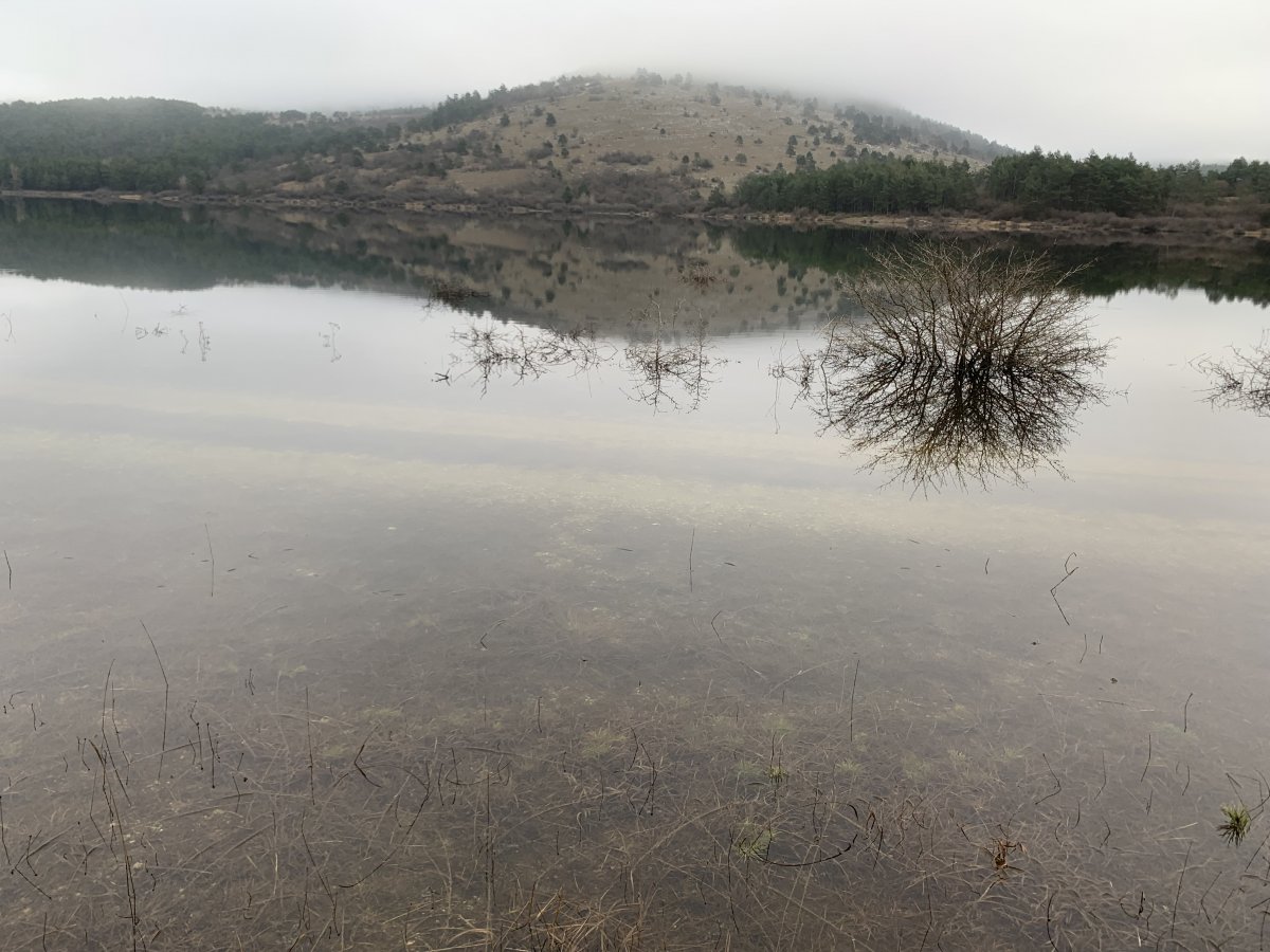 the Petelinje lake in the winter.. the Petelinje lake in the winter..