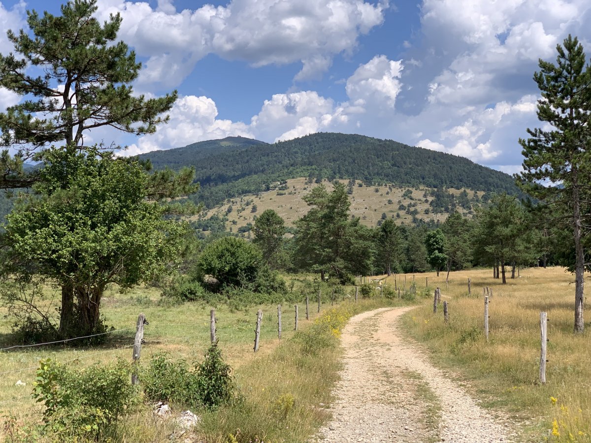 sensational approach to Petelinje Disappearing Lake.. completely different landscape just 15 mins from the Lodge! sensational approach to Petelinje Disappearing Lake.. completely different landscape just 15 mins from the Lodge!