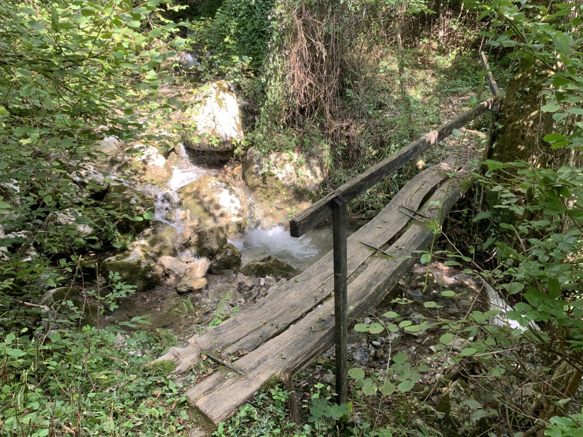 Always a joy to cross a wooden bridge like this..