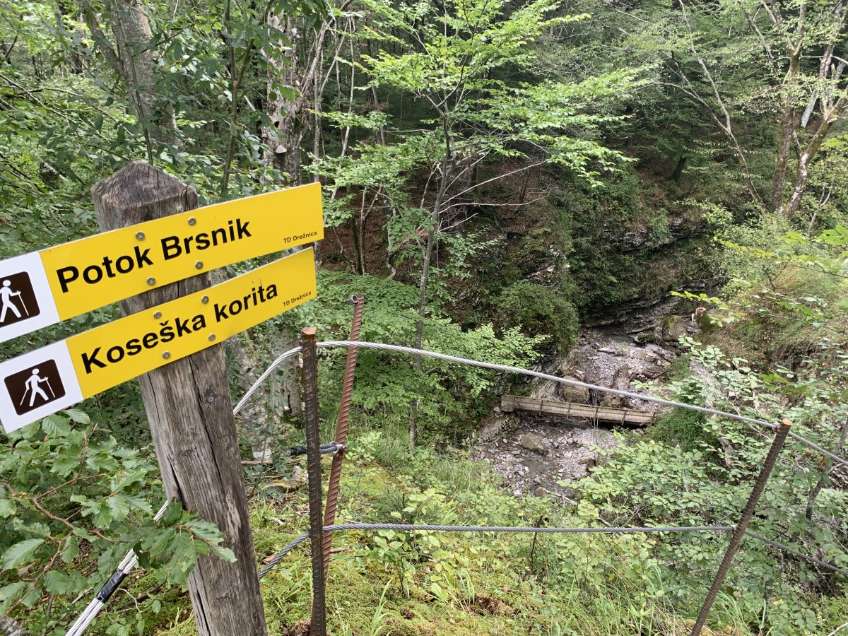 We are going down there baby.. look how Kosec morphs into Koseska in Slovenian just to confuse us..