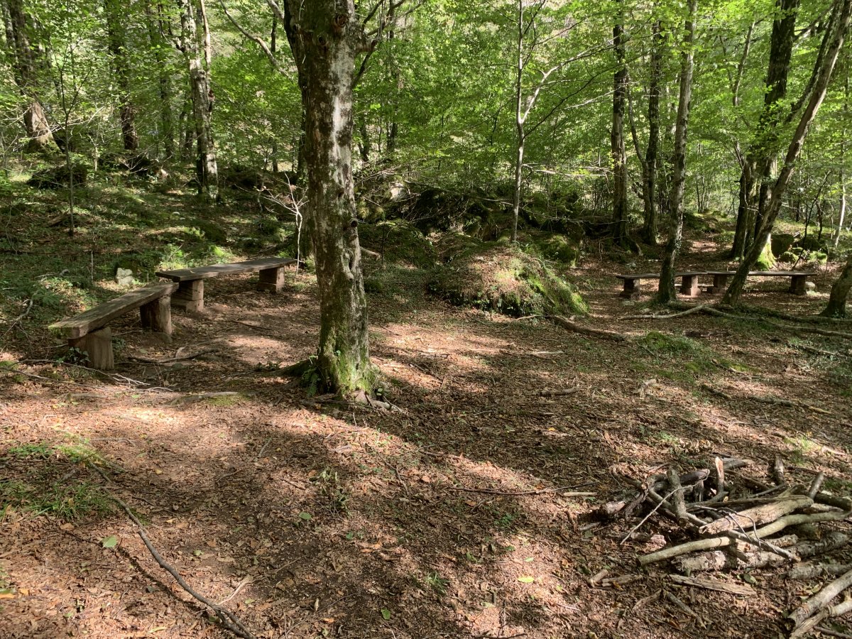 This is a little magic circle area in the forest where the rocks have mystical energies..