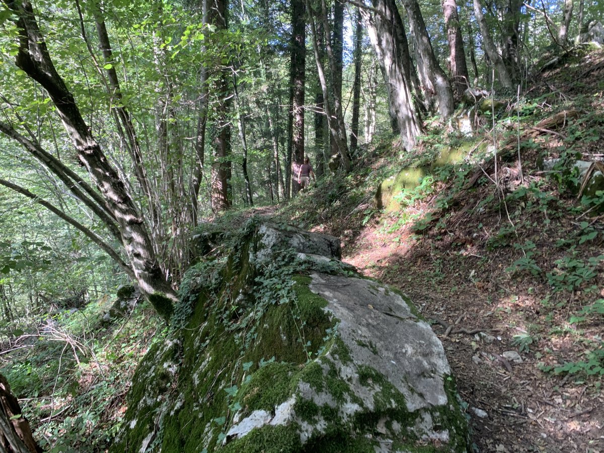 All part of the hike..